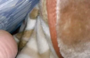 Una giovane ragazza ha usato un donne belle nude gratis strap - on per scopare la sua padrona