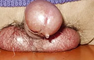 I candidati hanno porno donne nude mature gratis versare lo sperma in lei